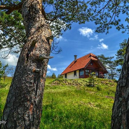 Cottage Vodice Zlatibor Esterno foto