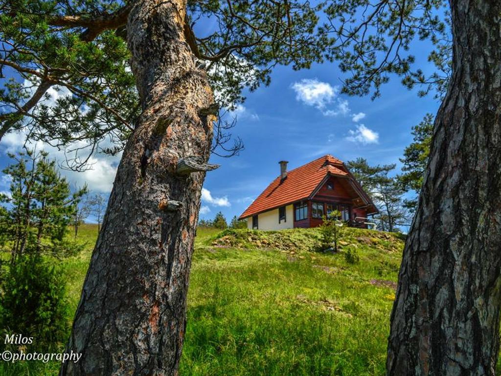 Cottage Vodice Zlatibor Esterno foto