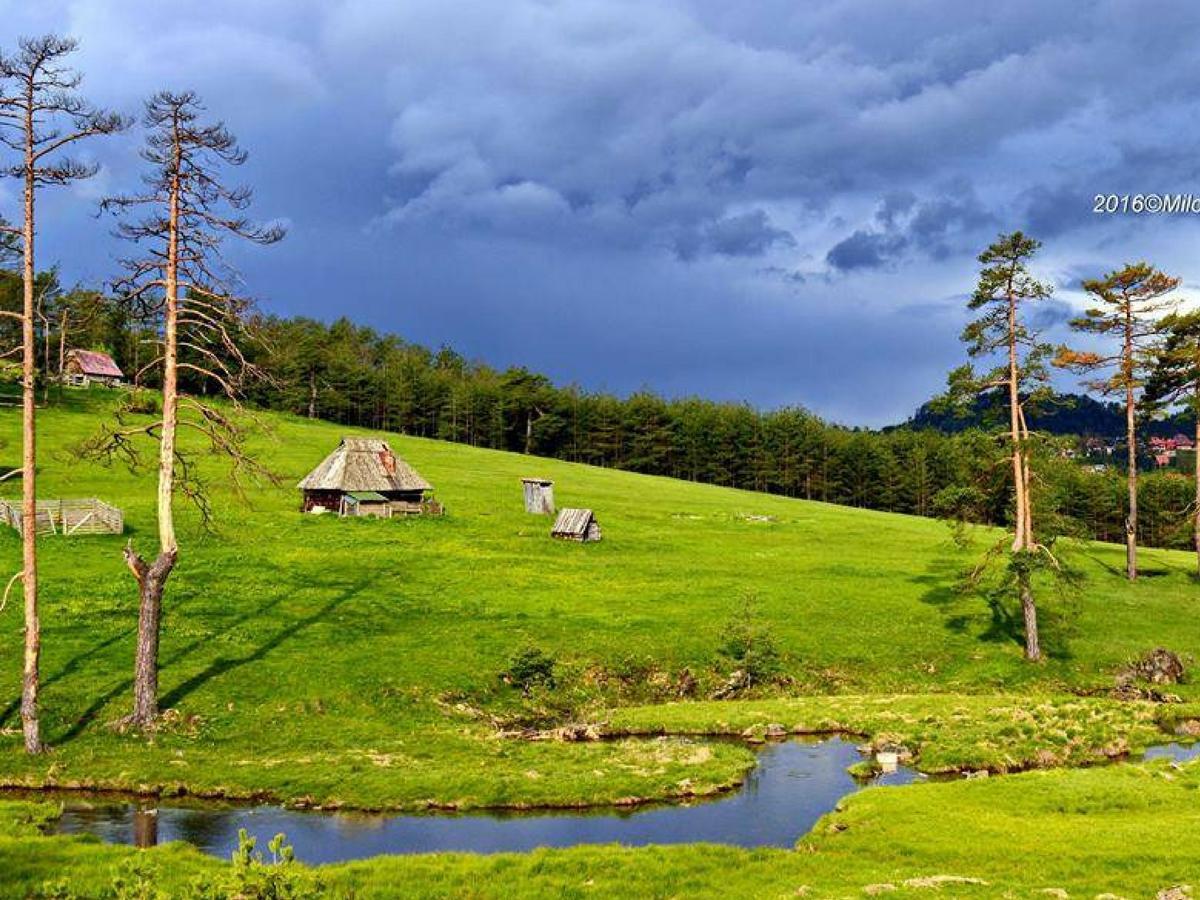 Cottage Vodice Zlatibor Esterno foto