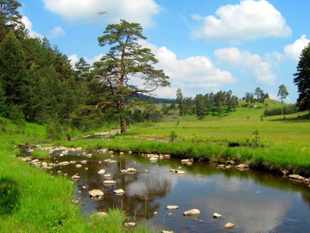 Cottage Vodice Zlatibor Esterno foto