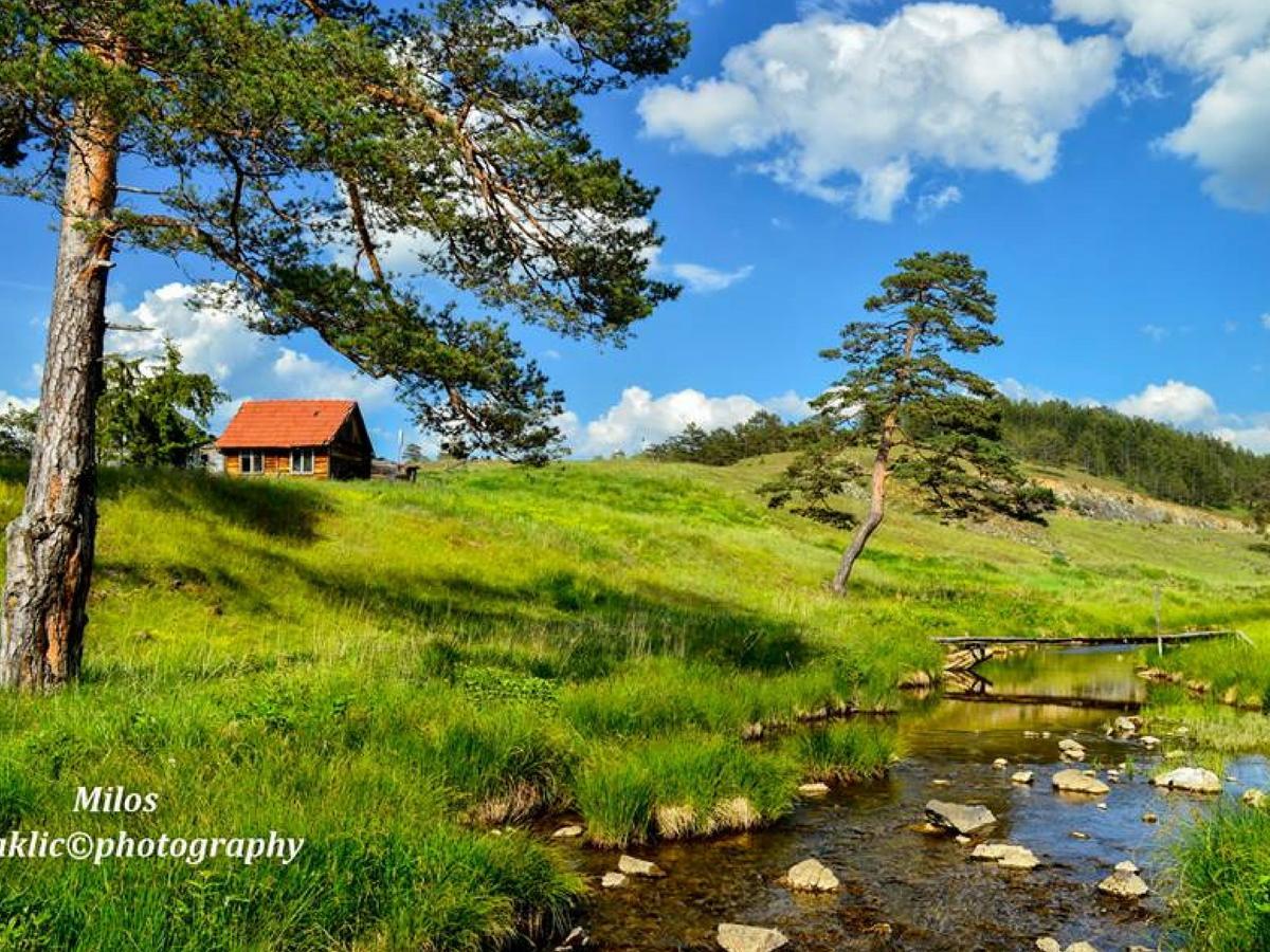 Cottage Vodice Zlatibor Esterno foto